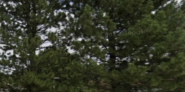 Colorado Medication Assisted Recovery